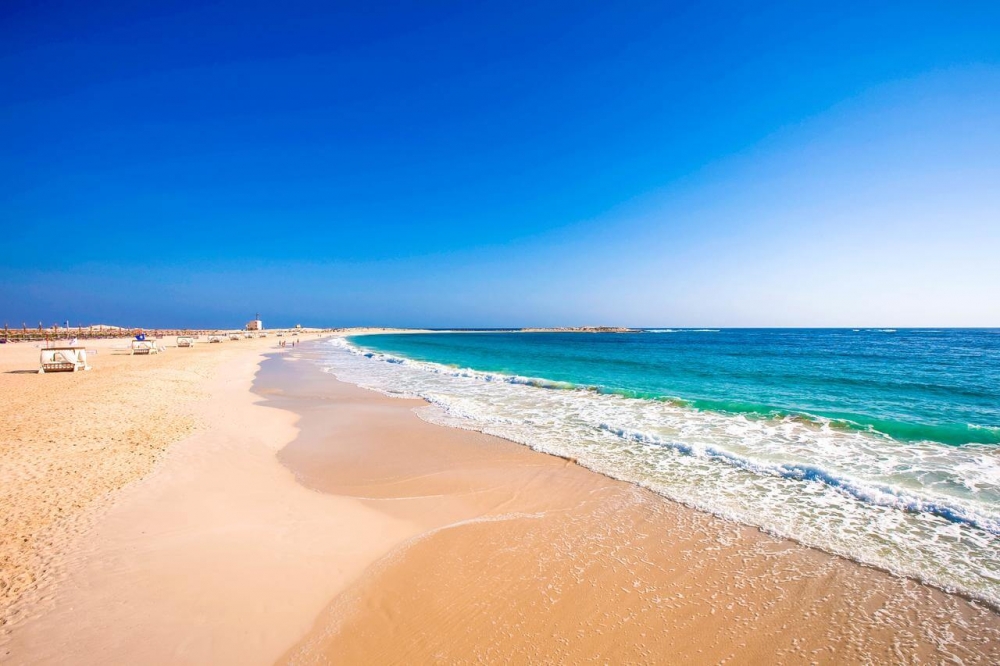 Удивительный мир Красного моря, фото 18