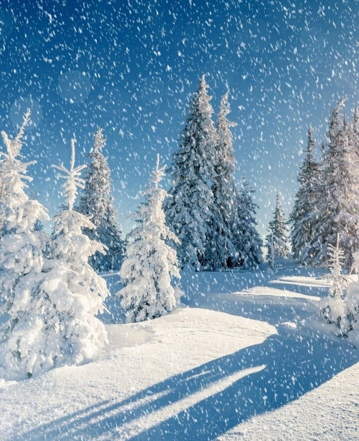 Зимняя сказка, фото 16 Зимняя сказка, фото 16