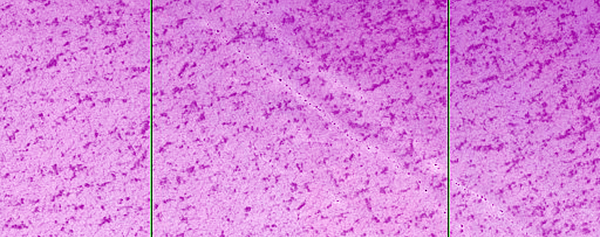 Удивительные снимки Марса, фото 15 Удивительные снимки Марса, фото 15