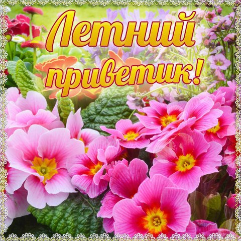 Открытки С первым днем лета!, фото 10 Открытки С первым днем лета!, фото 10