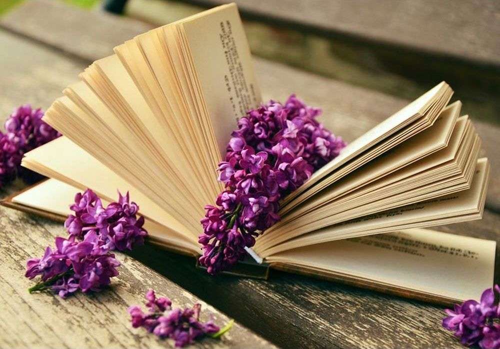Всемирный день книги и авторского права, фото 17 Всемирный день книги и авторского права, фото 17