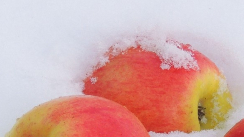 Обои еда, фото 18 Обои еда, фото 18