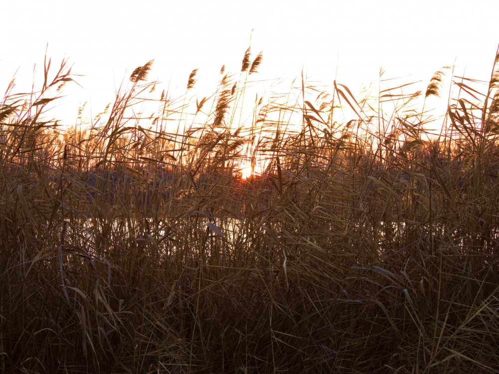 Осенние обои, фото 18 Осенние обои, фото 18