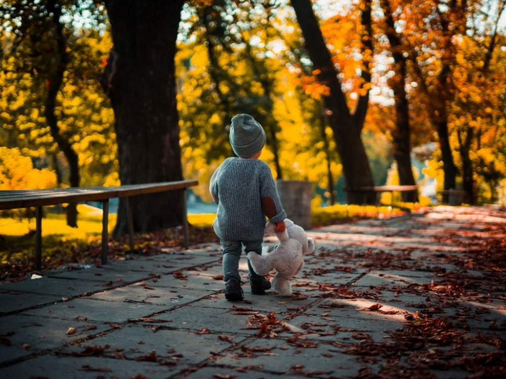 День выгуливания настроения, фото 18 День выгуливания настроения, фото 18