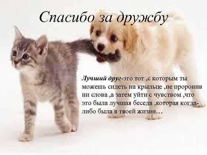 Открытки для друзей, фото 5 Открытки для друзей, фото 5