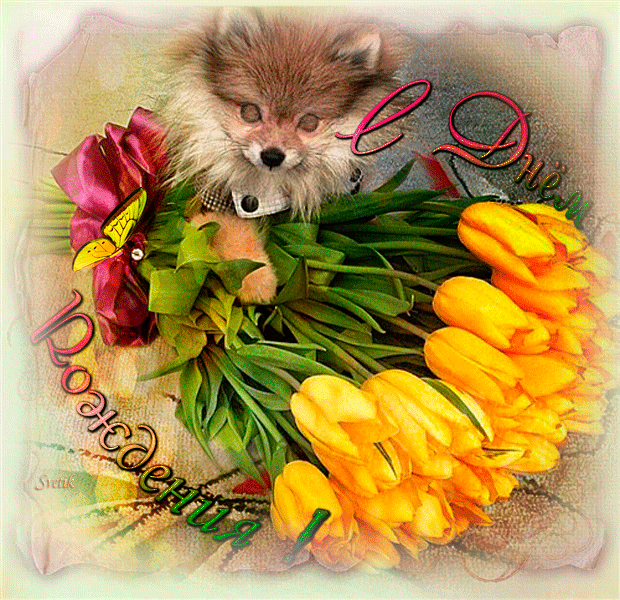 Праздничные открытки для поздравления родных людей , фото 12 Праздничные открытки для поздравления родных людей , фото 12