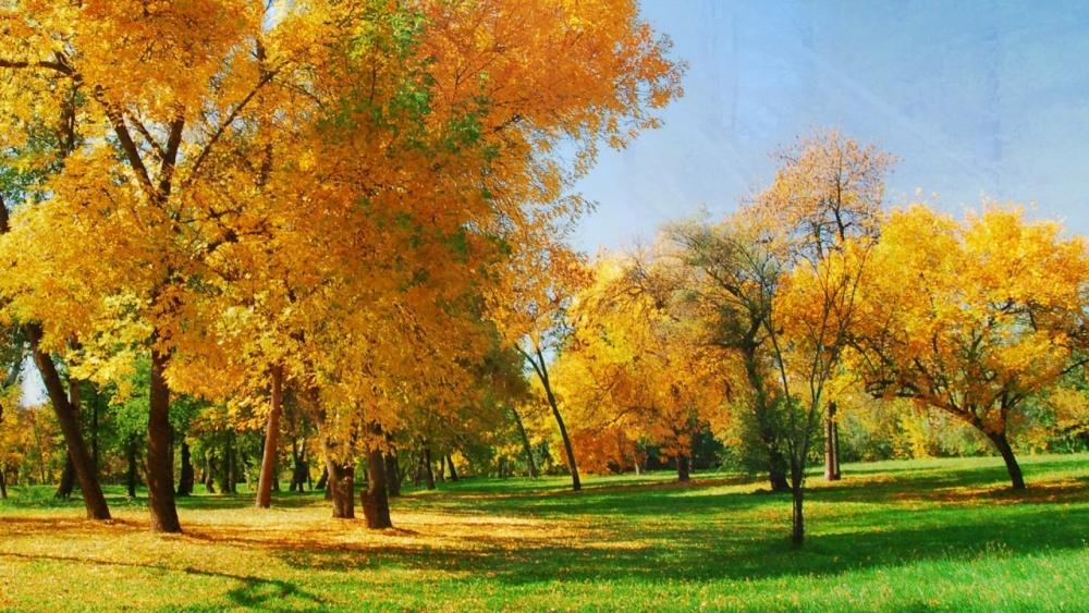 Подобранные мною пейзажи по теме Времена года, фото 15 Подобранные мною пейзажи по теме Времена года, фото 15