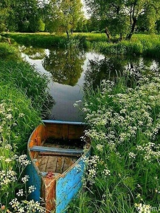 Лето, лето, васильки в букетах), фото 18