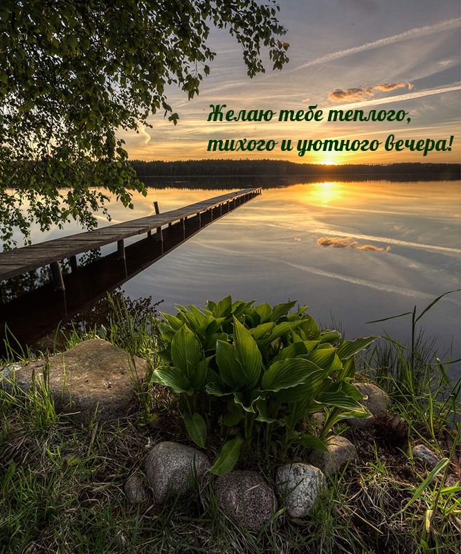 Добрый вечер, фото 18 Добрый вечер, фото 18