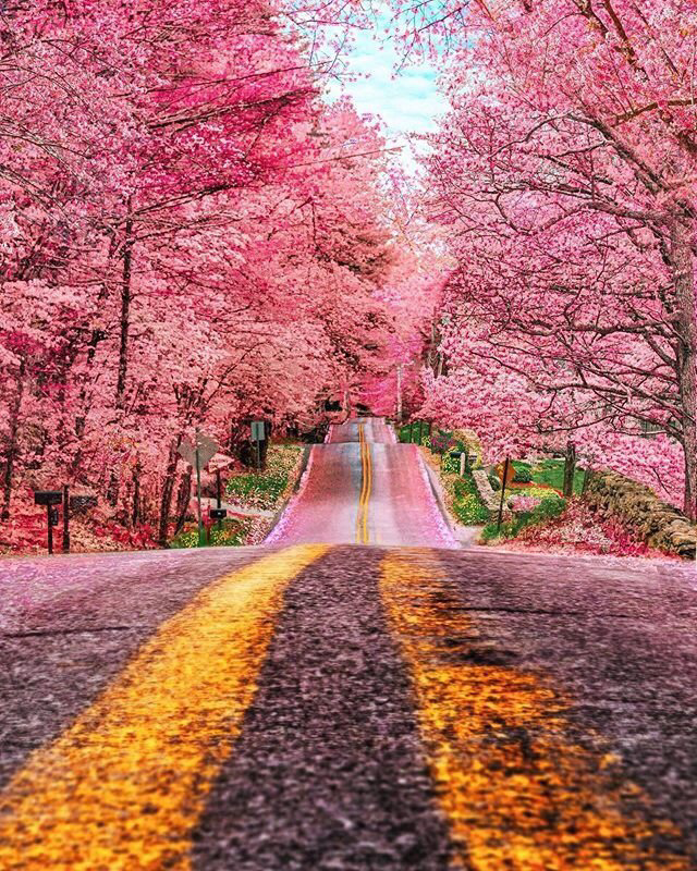 Весенние обои, фото 1 Весенние обои, фото 1