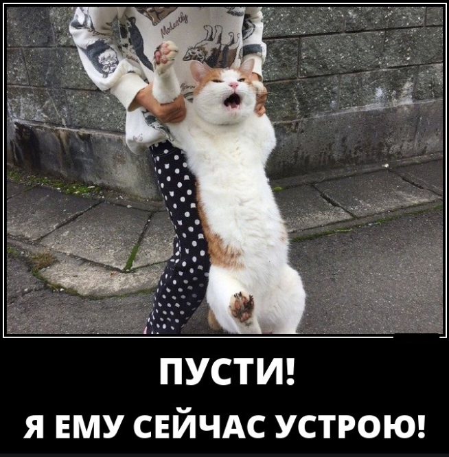 Гарантируем заряд позитива, смешные картинки о животных