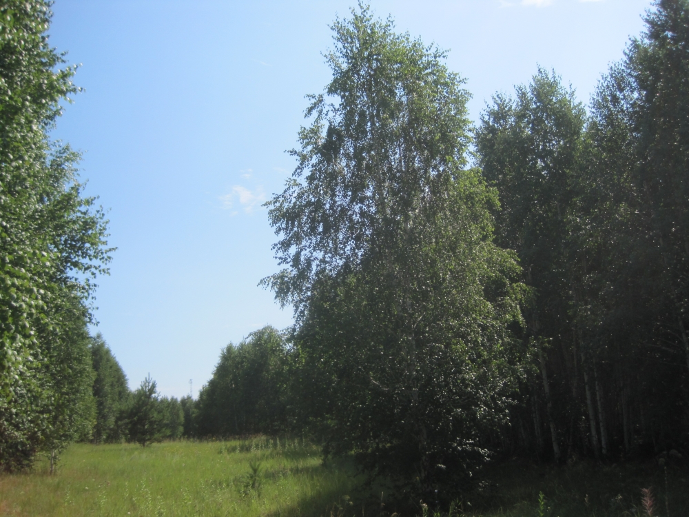 Свидание с природой, фото 1 Свидание с природой, фото 1