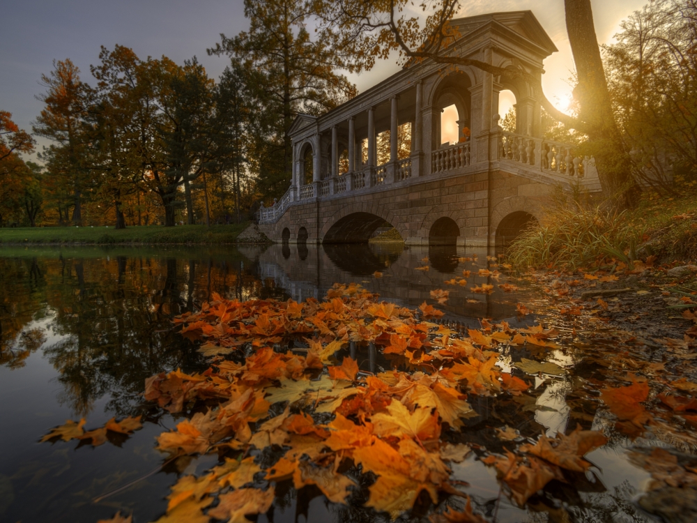 Осенние обои, фото 1 Осенние обои, фото 1