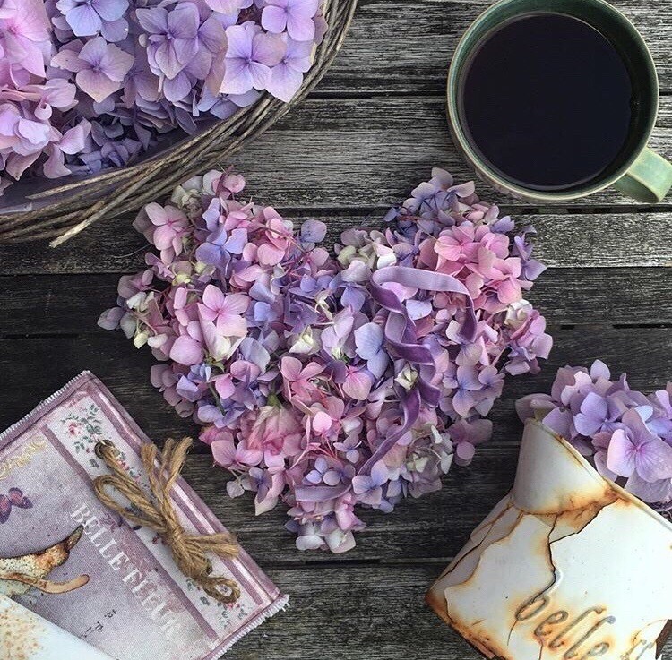 Обои с сиренью , фото 12