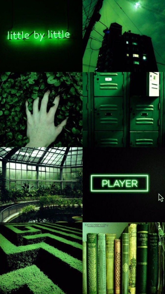 Зелёные обои. Специально для тебя ♥️, фото 5 Зелёные обои. Специально для тебя ♥️, фото 5