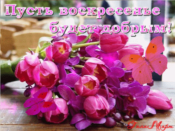 Хочу представить открытки для пожелания хорошего выходного воскресенья!, фото 1 Хочу представить открытки для пожелания хорошего выходного воскресенья!, фото 1