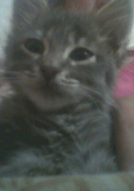 Счастье , фото 3 Счастье , фото 3