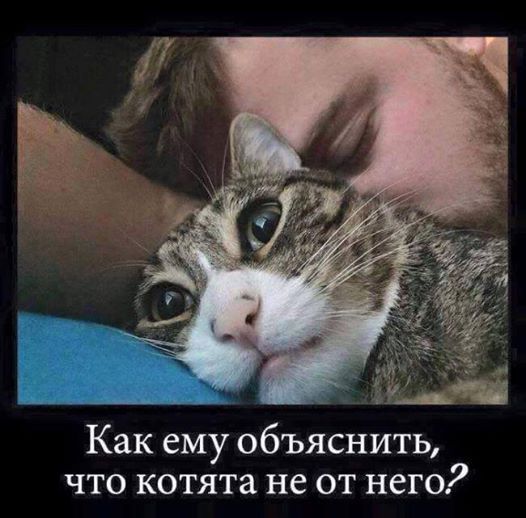 Животные очаровывают, фото 7 Животные очаровывают, фото 7