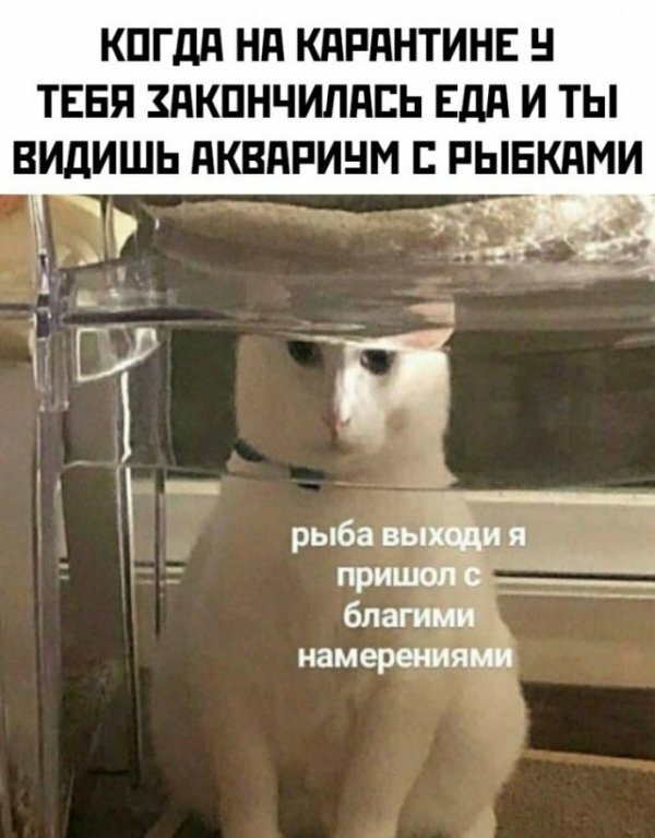 Коронавирус приколы, подборка смешных картинок, фото 4 Коронавирус приколы, подборка смешных картинок, фото 4