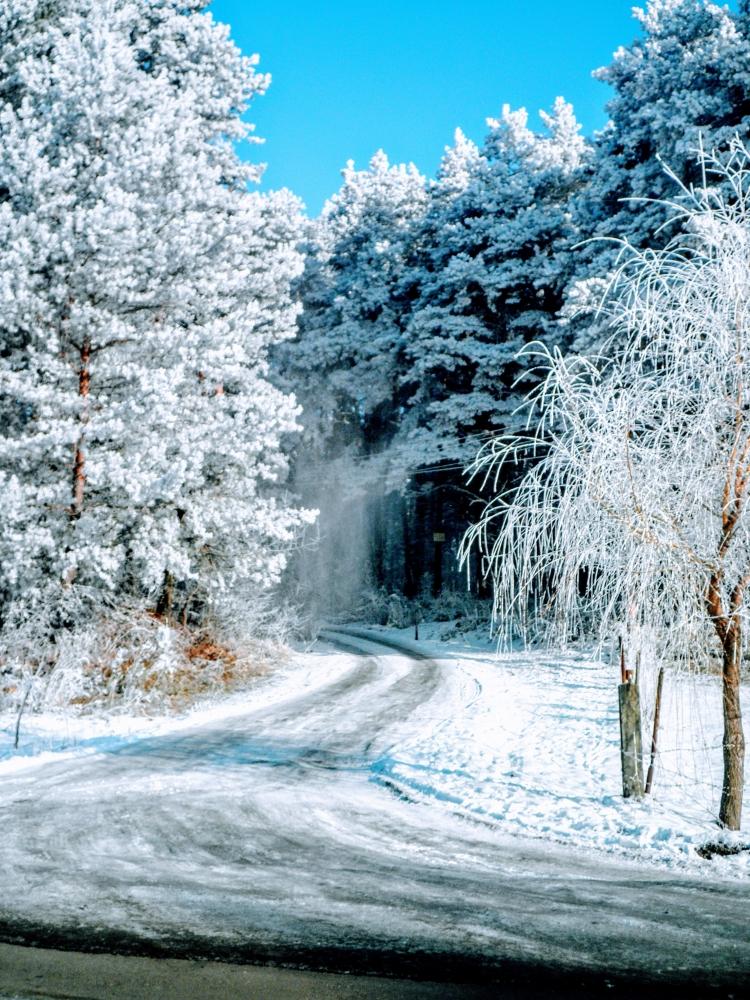 Мороз и солнце - день чудесный!, фото 28 Мороз и солнце - день чудесный!, фото 28