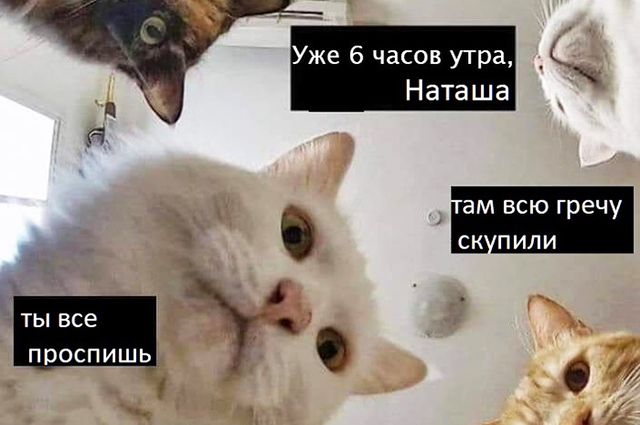 Смешные картинки о Коронавирусе, фото 15 Смешные картинки о Коронавирусе, фото 15