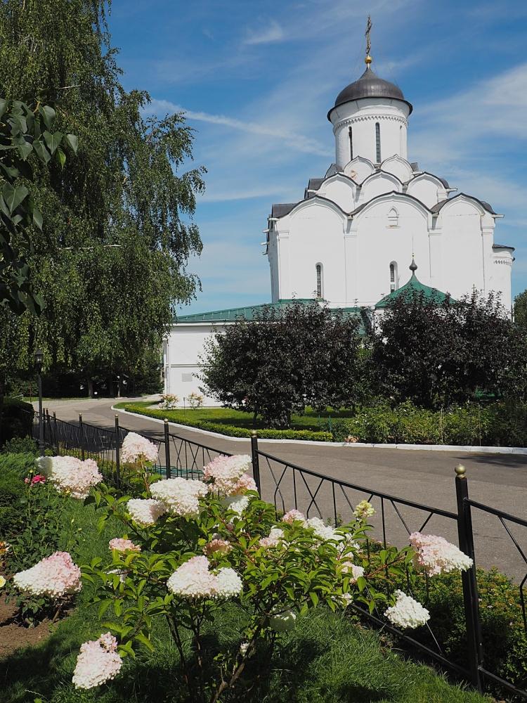 Владимир - Путешествие по любимому городу!, фото 13 Владимир - Путешествие по любимому городу!, фото 13
