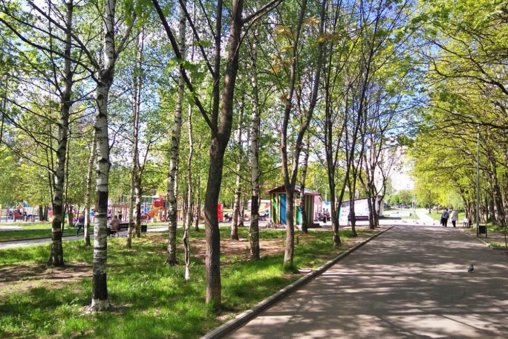 Владимир - Путешествие по любимому городу!, фото 3 Владимир - Путешествие по любимому городу!, фото 3