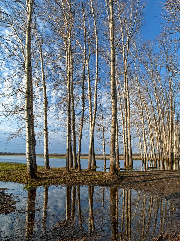 Скоро весна!🌸, фото 14 Скоро весна!🌸, фото 14