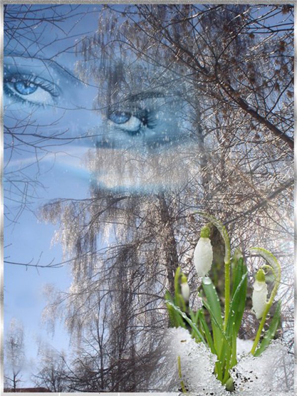 Прощёное воскресенье и последний день Масленицы🕊, фото 11 Прощёное воскресенье и последний день Масленицы🕊, фото 11