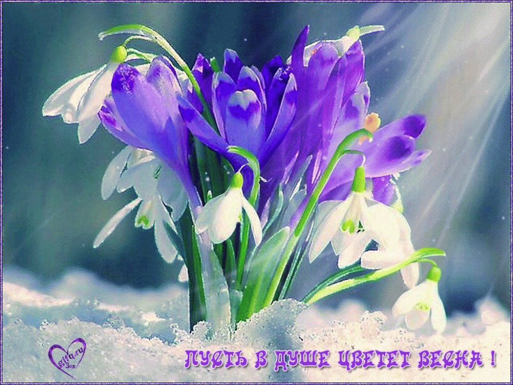 Прощёное воскресенье и последний день Масленицы🕊, фото 7 Прощёное воскресенье и последний день Масленицы🕊, фото 7