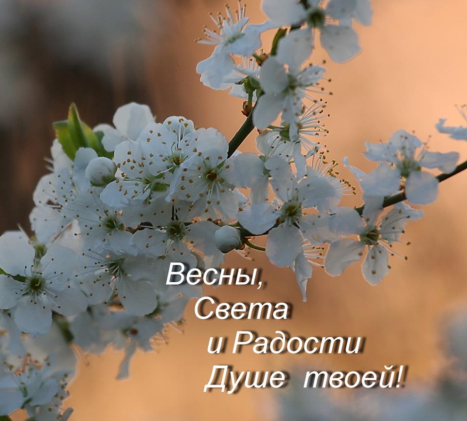 Прощёное воскресенье и последний день Масленицы🕊, фото 5 Прощёное воскресенье и последний день Масленицы🕊, фото 5