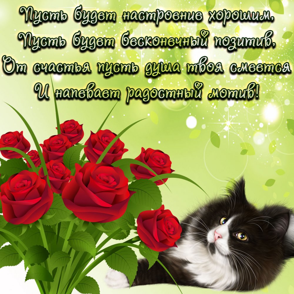 Открытки для друзей, фото 1 Открытки для друзей, фото 1