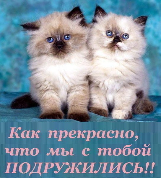 Открытки для друзей, фото 15 Открытки для друзей, фото 15