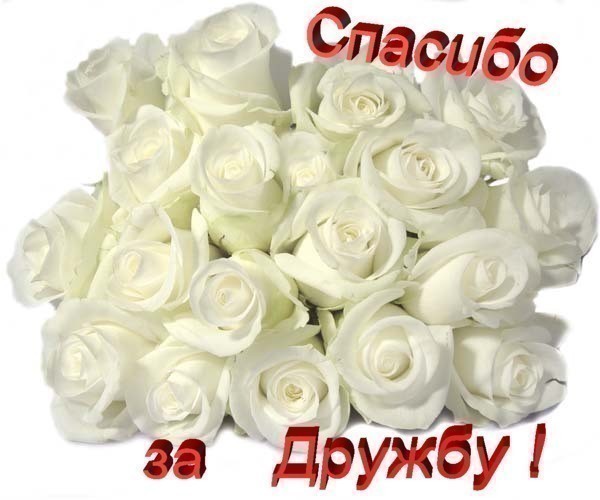 Открытки чтоб порадовать своих друзей и знакомых!, фото 4 Открытки чтоб порадовать своих друзей и знакомых!, фото 4