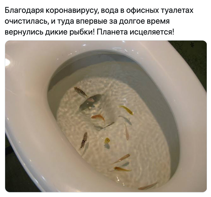 Смешные картинки про коронавирус , фото 21 Смешные картинки про коронавирус , фото 21