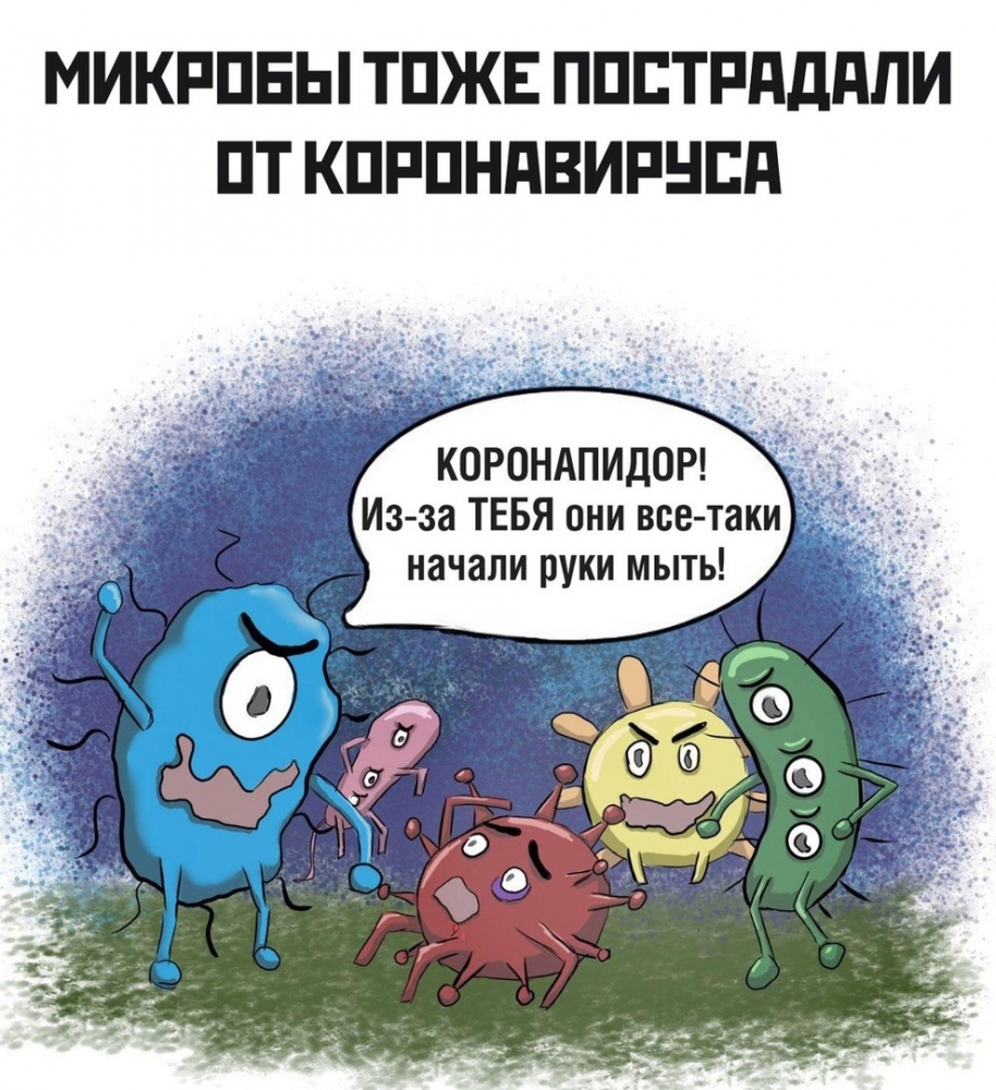 Смешные картинки про коронавирус , фото 28 Смешные картинки про коронавирус , фото 28