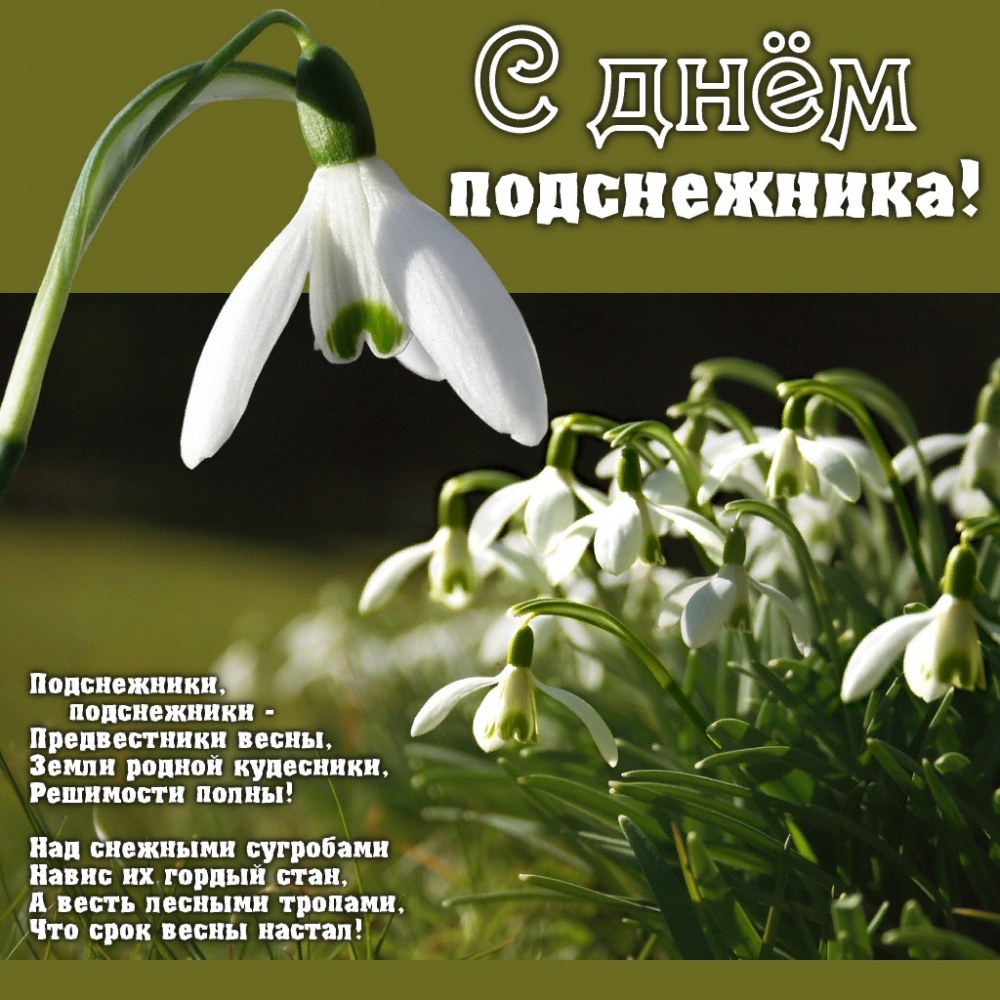 Открытки о весне, фото 4