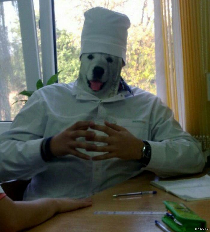 Наркотикам - нет, фото 11 Наркотикам - нет, фото 11