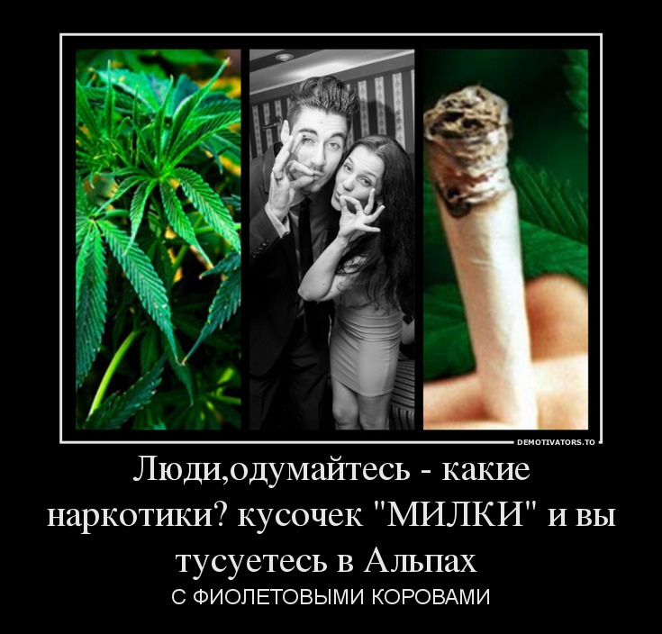 Наркотикам - нет, фото 6 Наркотикам - нет, фото 6