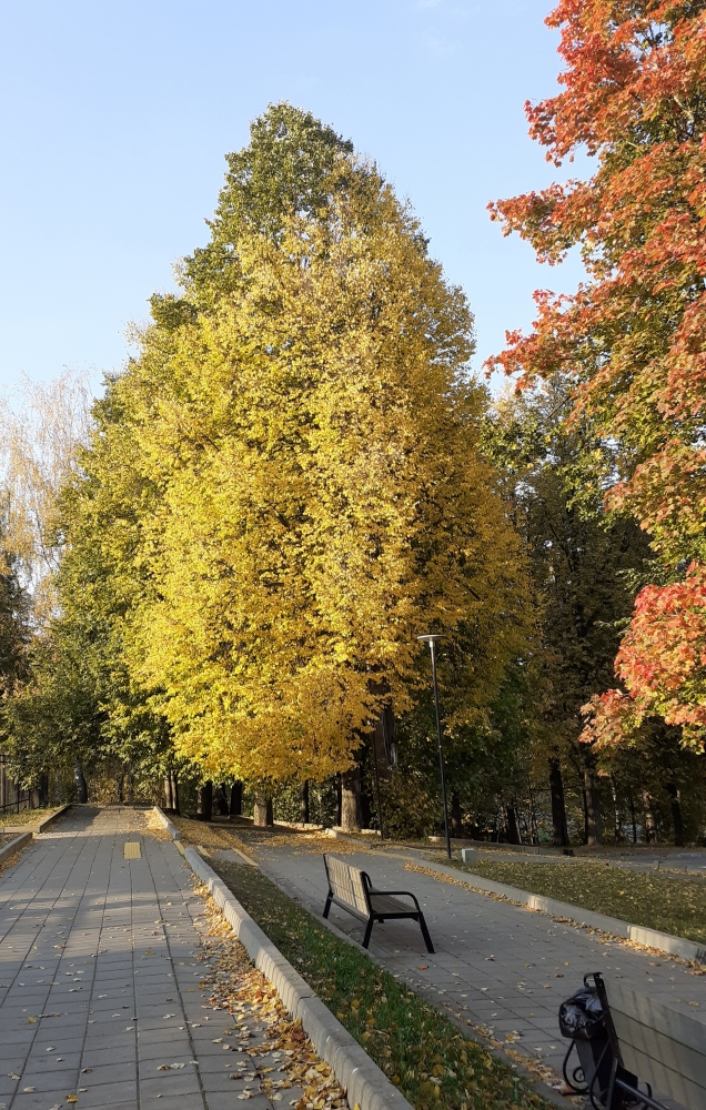 Осень в городе..., фото 2