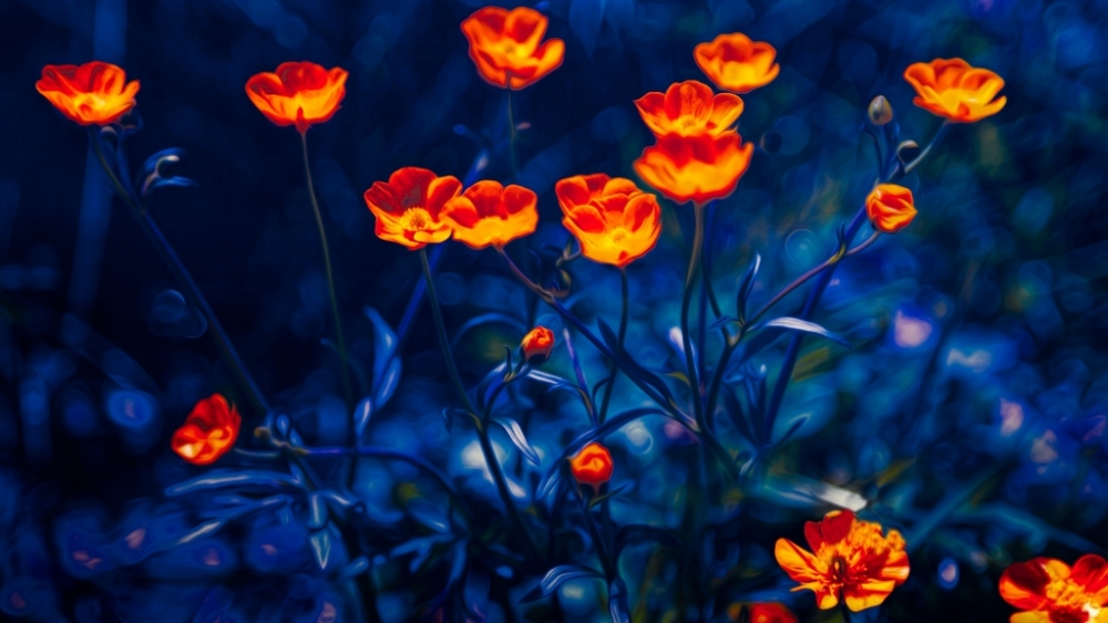 Обои макро (1), фото 21 Обои макро (1), фото 21