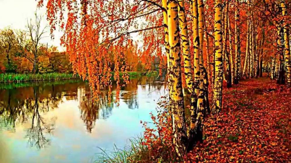 Подобранные мною пейзажи по теме Времена года, фото 18 Подобранные мною пейзажи по теме Времена года, фото 18