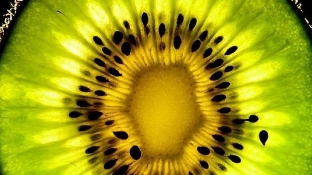 Обои еда, фото 23 Обои еда, фото 23