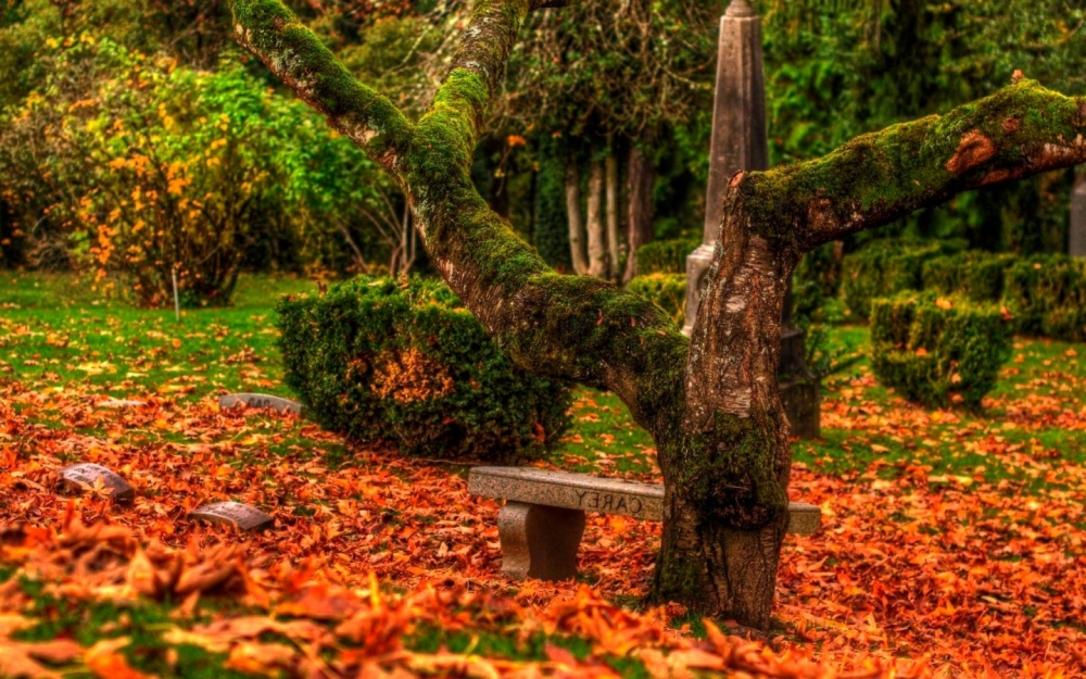 Осенние обои, фото 23 Осенние обои, фото 23