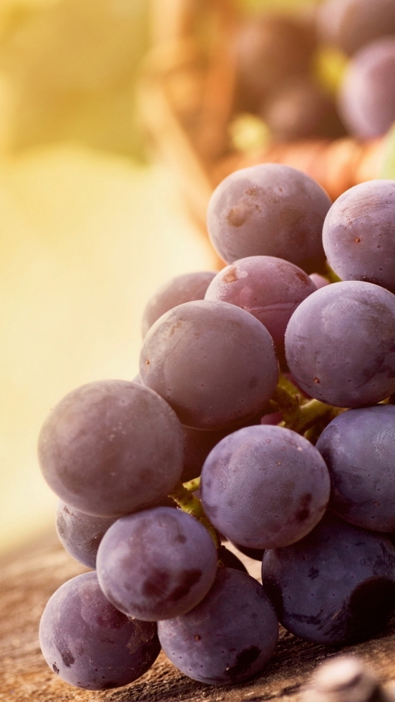 Макро обои для смартфона, фото 23 Макро обои для смартфона, фото 23