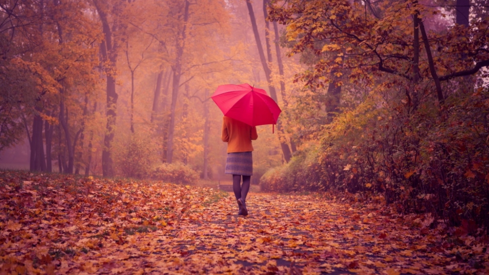 День выгуливания настроения, фото 23 День выгуливания настроения, фото 23