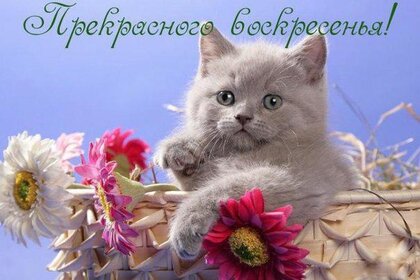 Хочу представить открытки для пожелания хорошего выходного воскресенья!, фото 9 Хочу представить открытки для пожелания хорошего выходного воскресенья!, фото 9