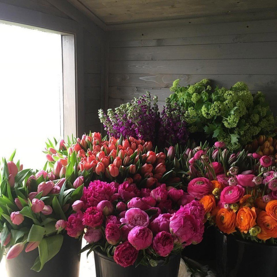 Весенние обои, фото 47 Весенние обои, фото 47