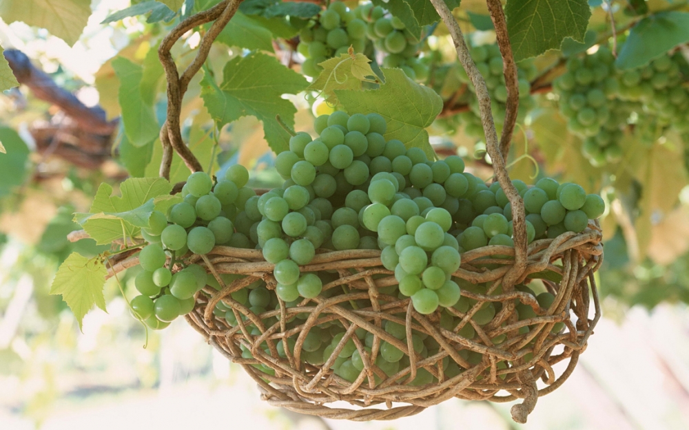 Обои еда, фото 25 Обои еда, фото 25