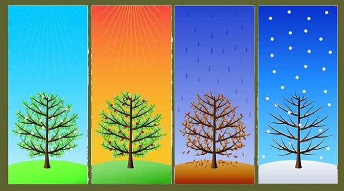 Подобранные мною пейзажи по теме Времена года, фото 21 Подобранные мною пейзажи по теме Времена года, фото 21